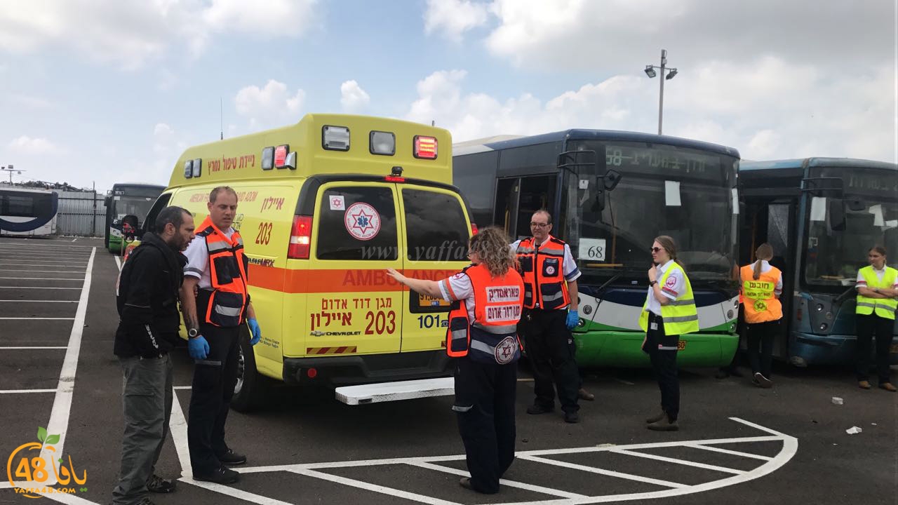 firbus eastyaffa (10).jpg